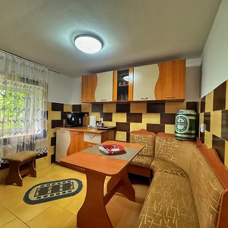 民宿 Casa Iancu Salasu de Sus